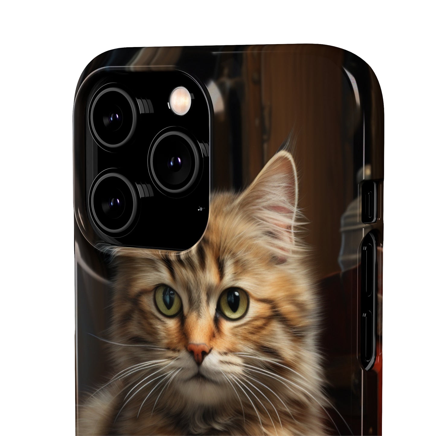 House Cat Snap Case