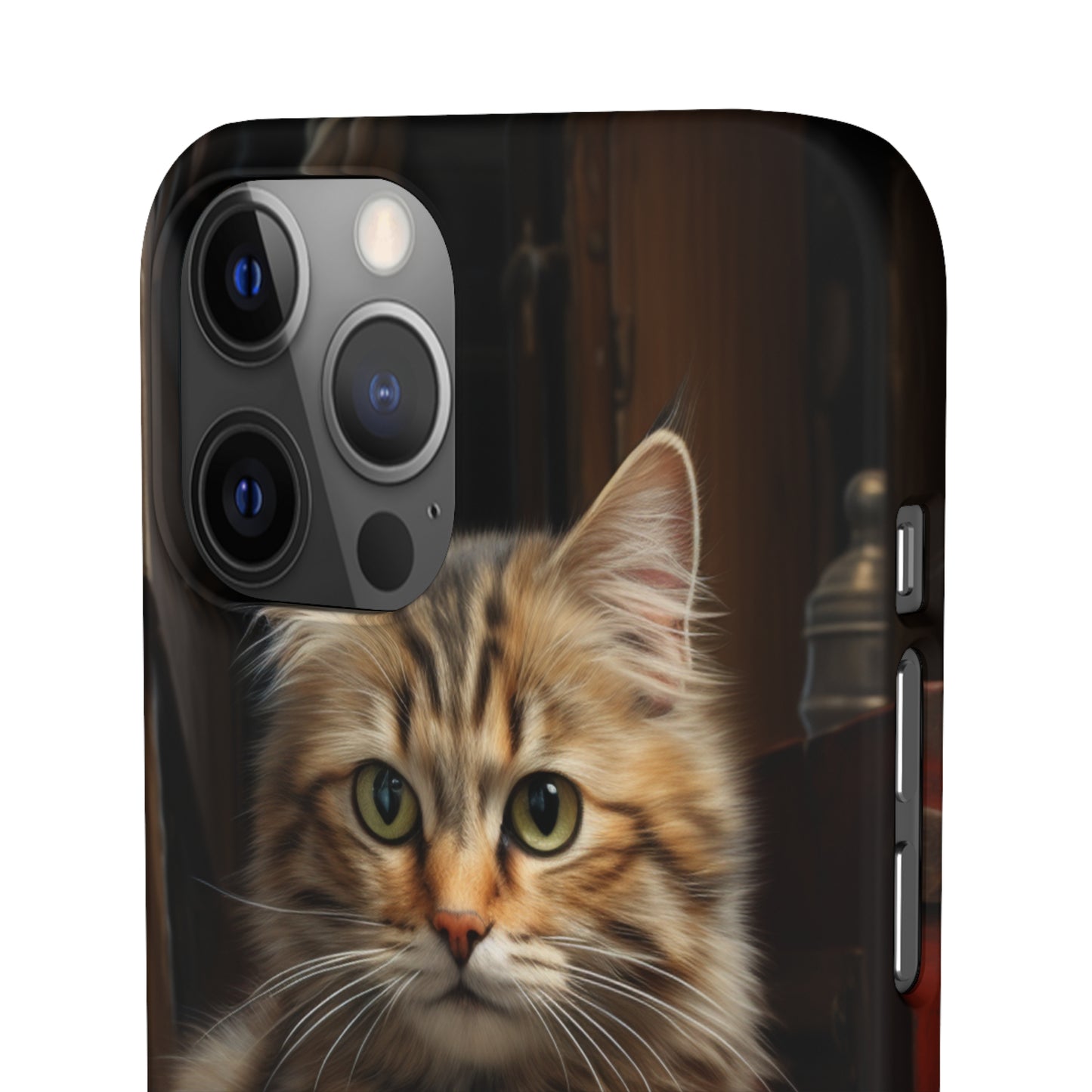 House Cat Snap Case