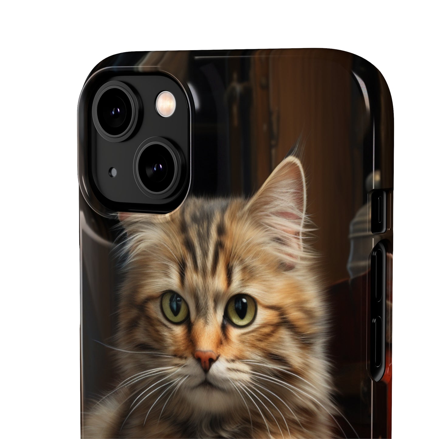 House Cat Snap Case