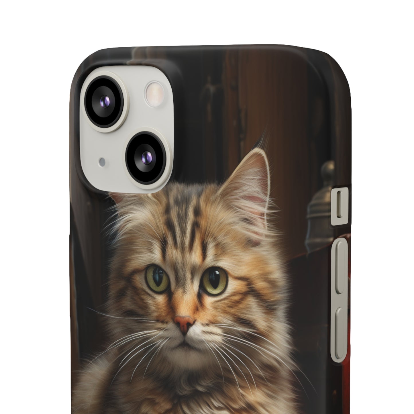 House Cat Snap Case