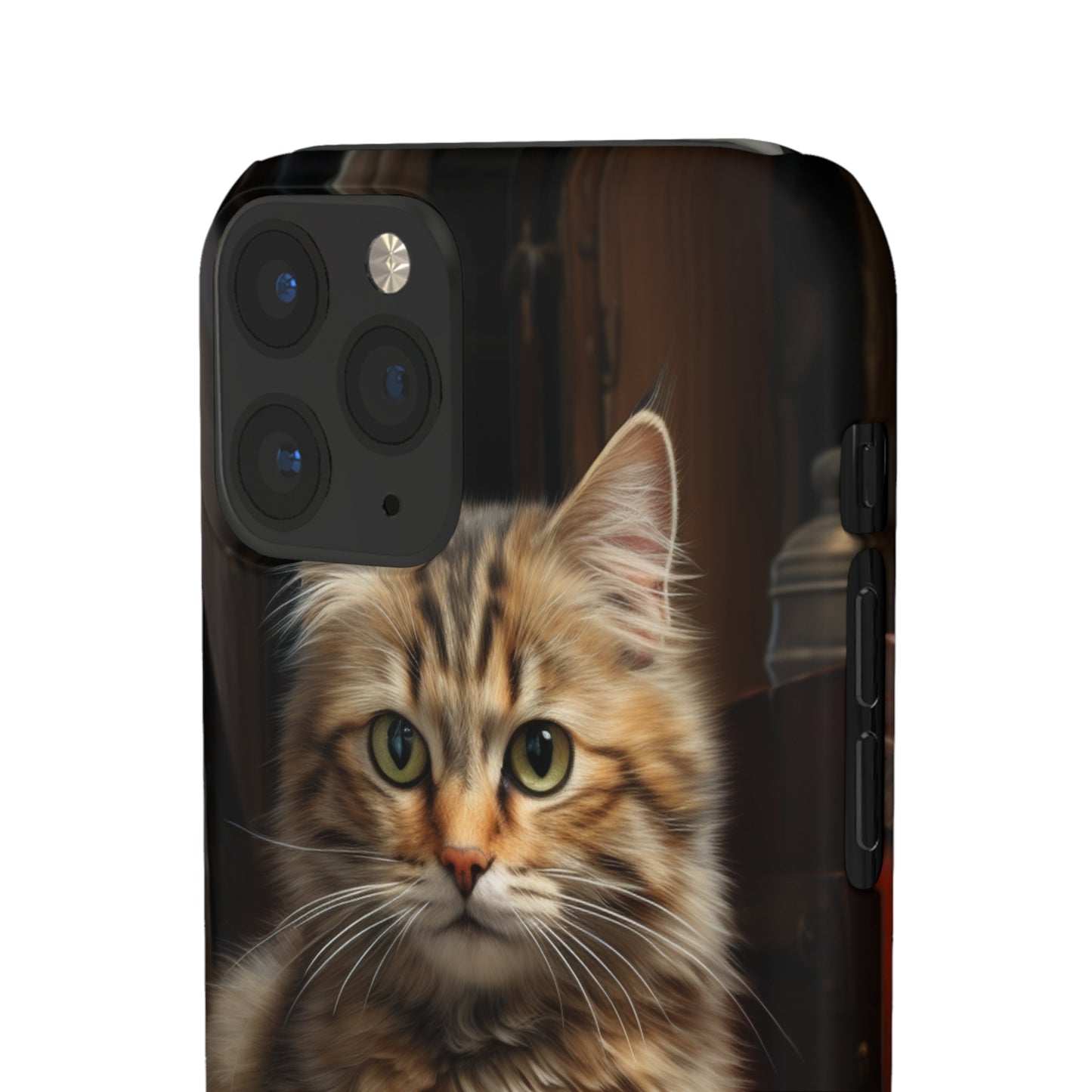 House Cat Snap Case