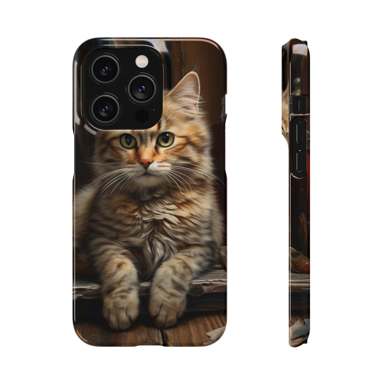 House Cat Snap Case