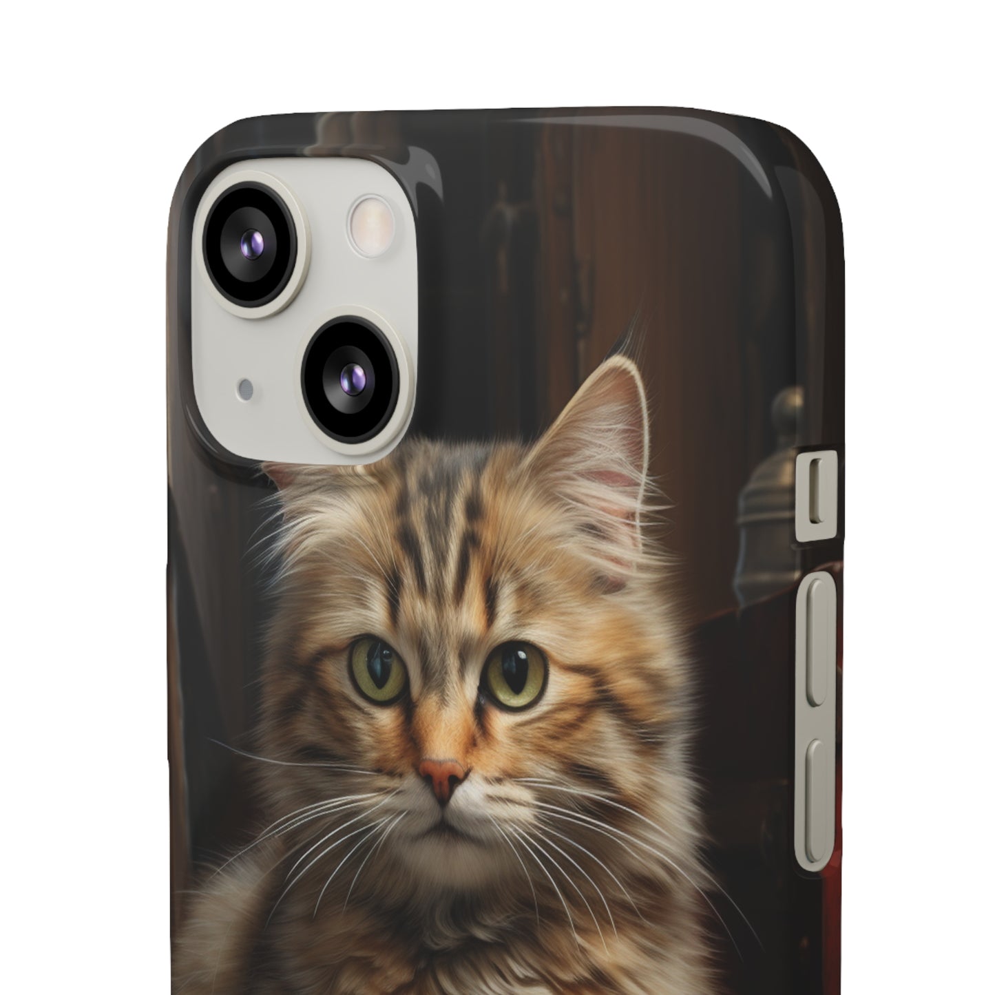 House Cat Snap Case