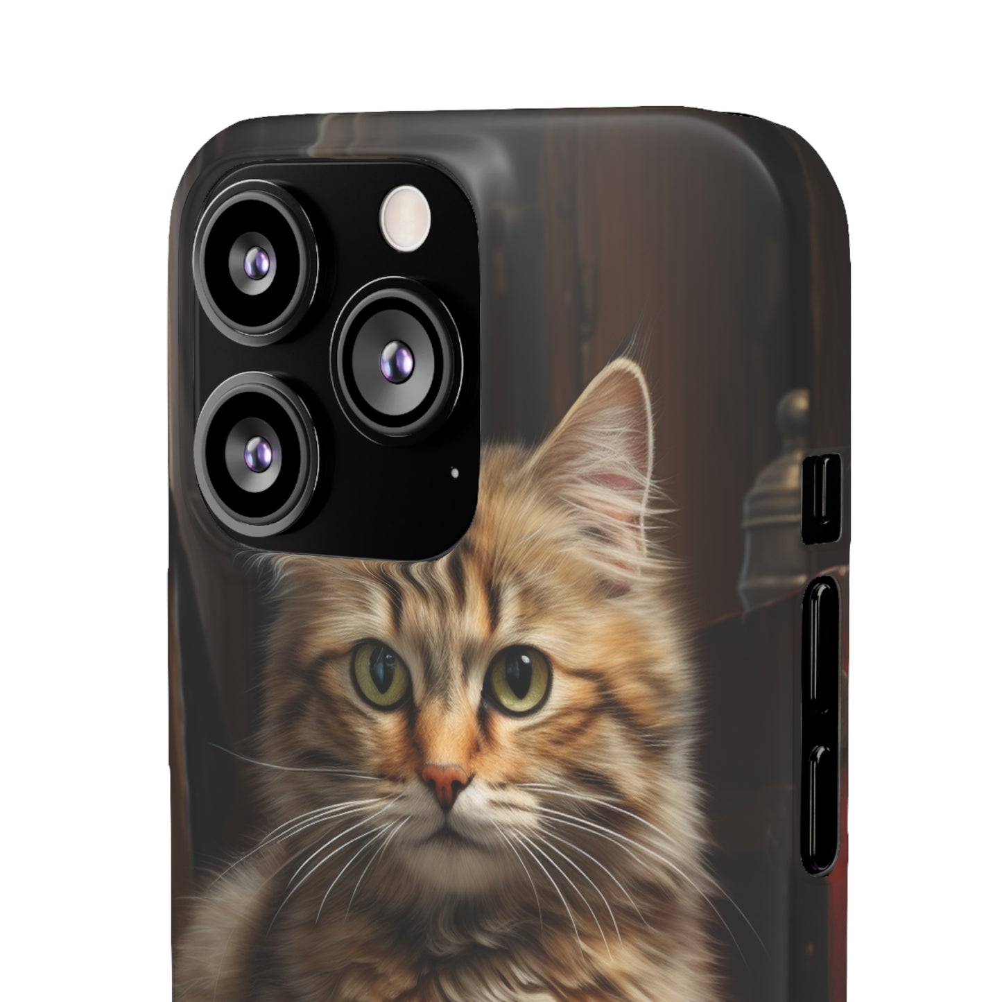 House Cat Snap Case