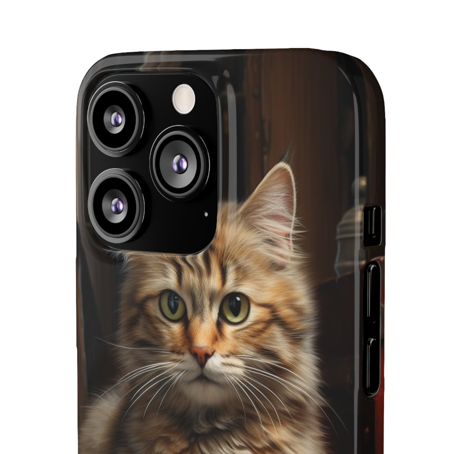 House Cat Snap Case