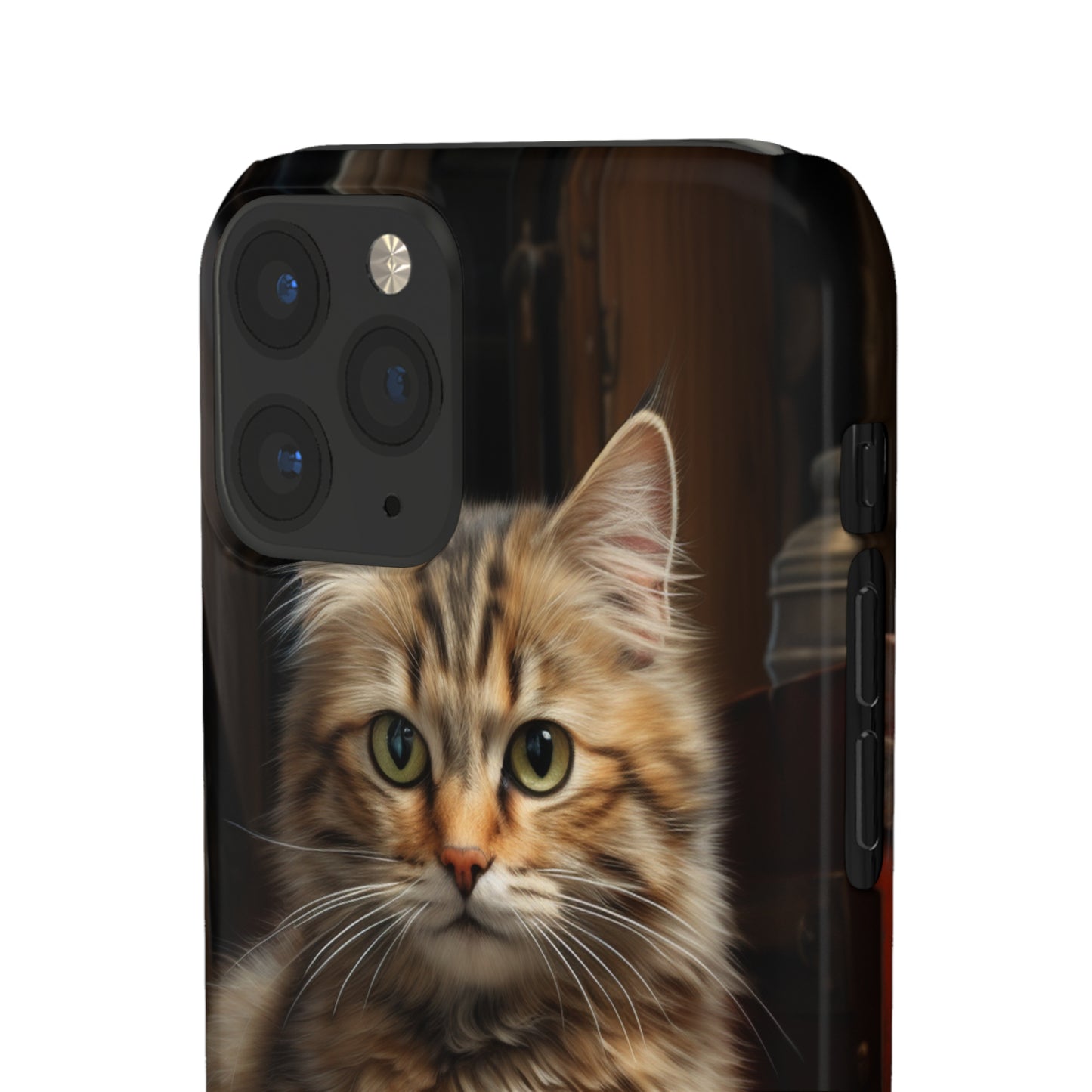 House Cat Snap Case