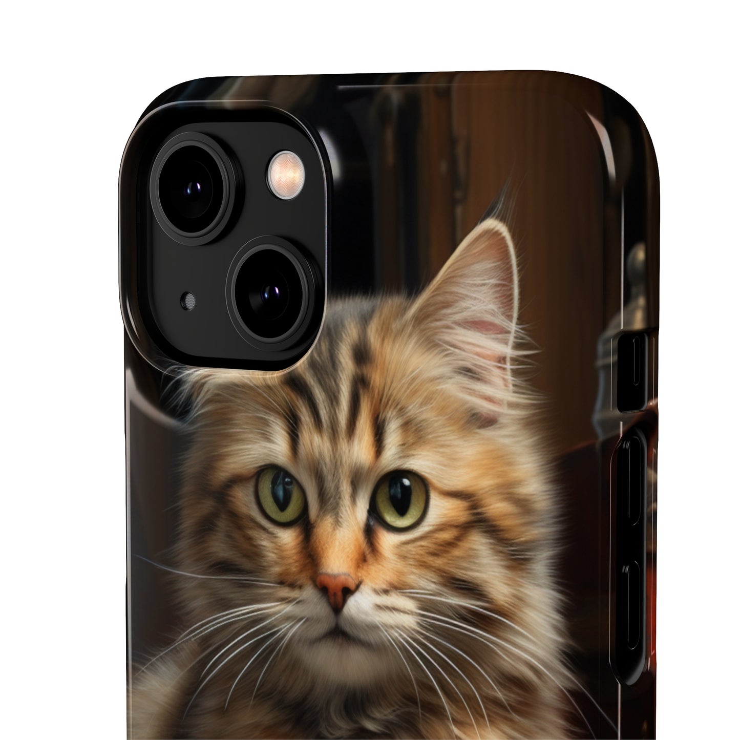 House Cat Snap Case