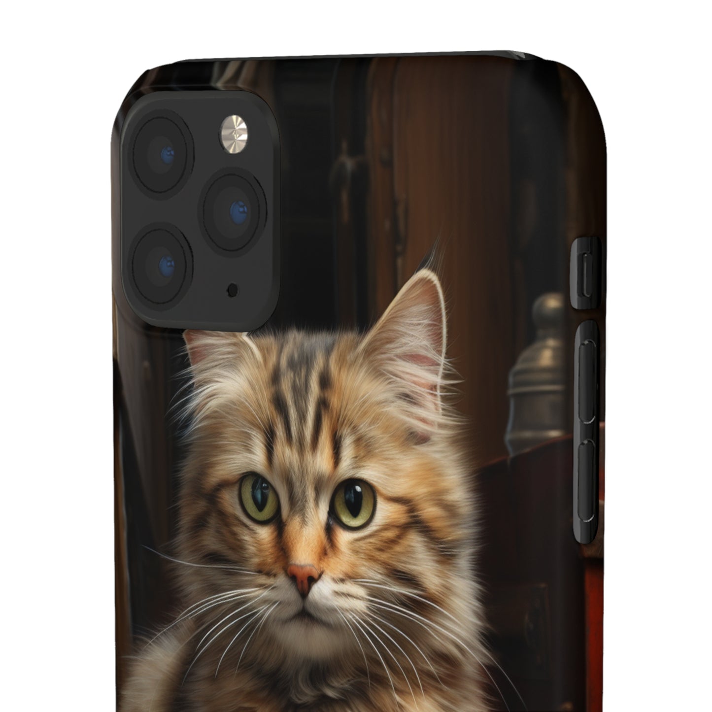 House Cat Snap Case