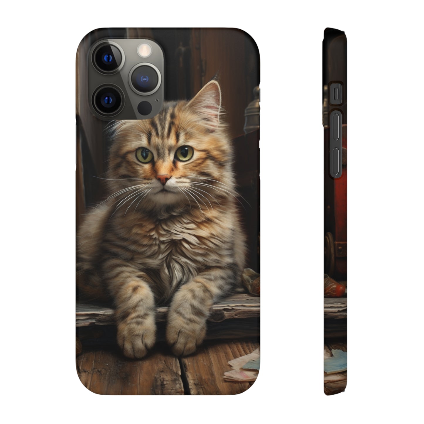 House Cat Snap Case