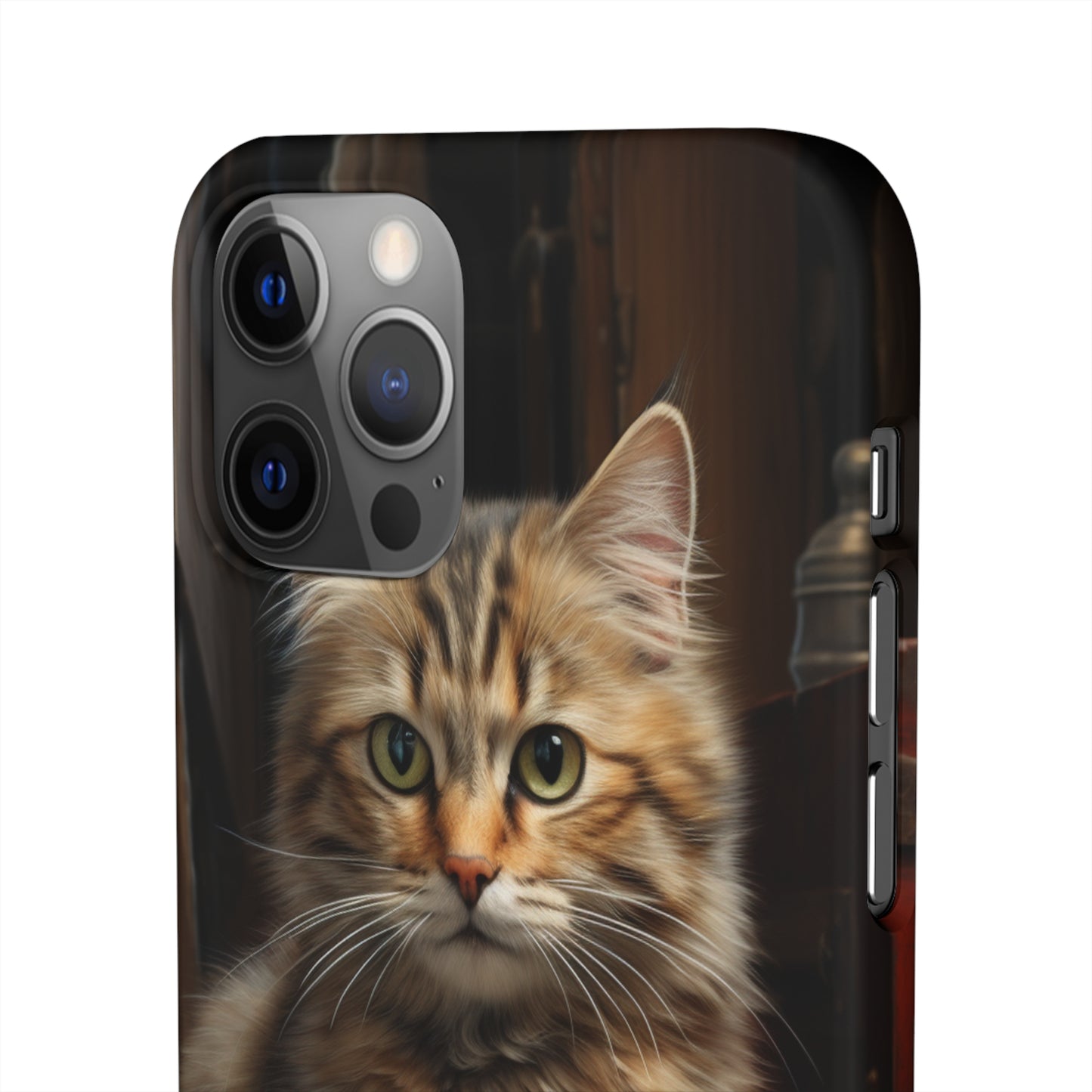 House Cat Snap Case