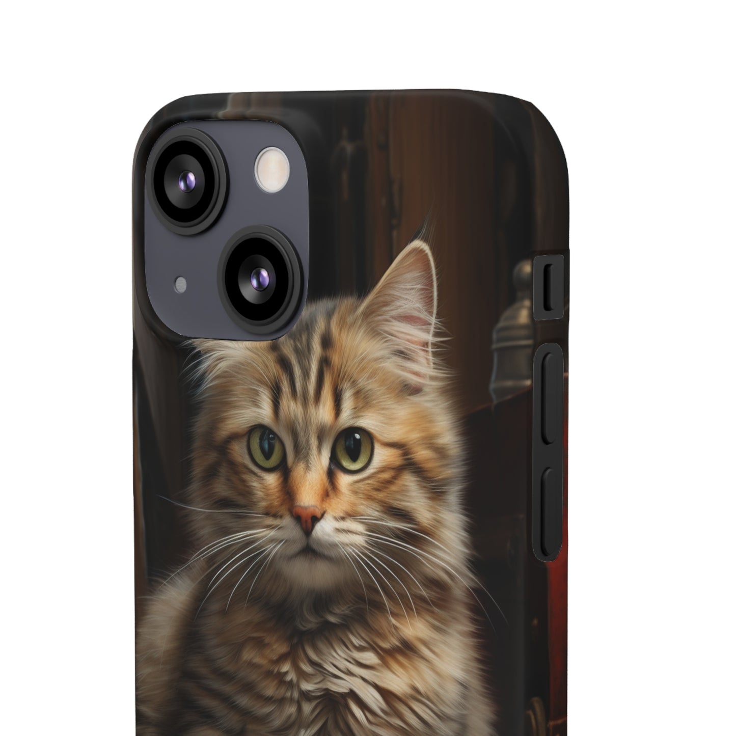 House Cat Snap Case