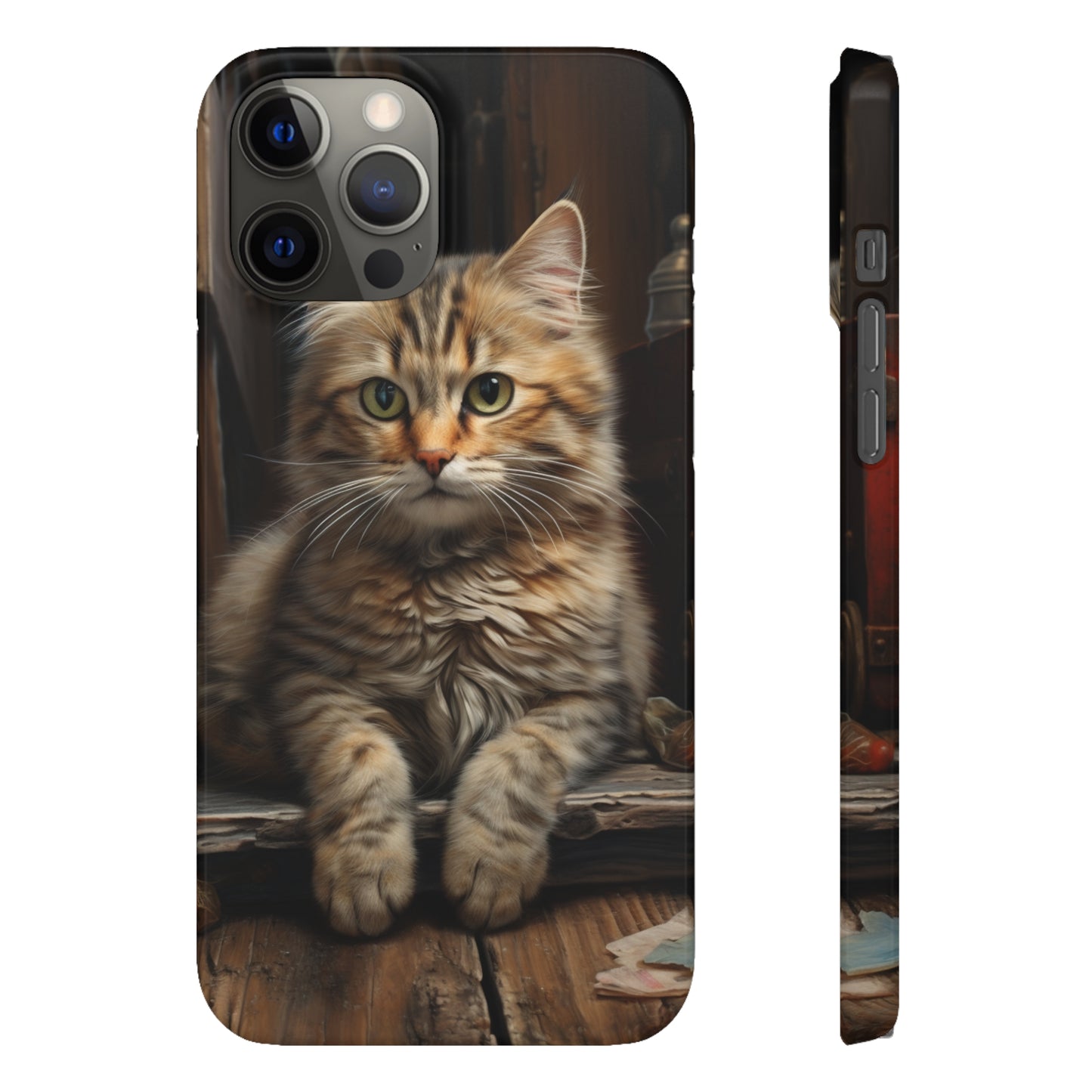 House Cat Snap Case