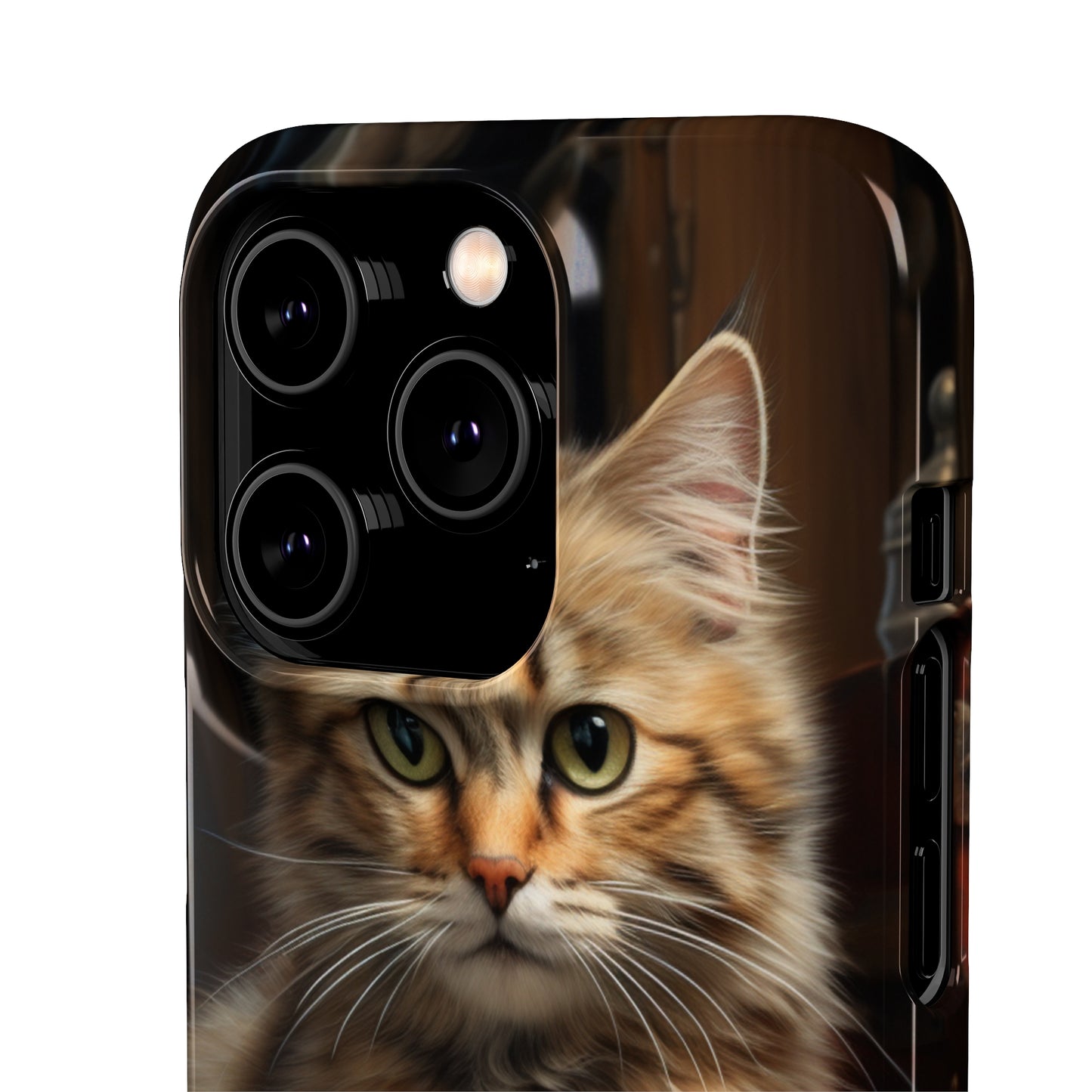 House Cat Snap Case