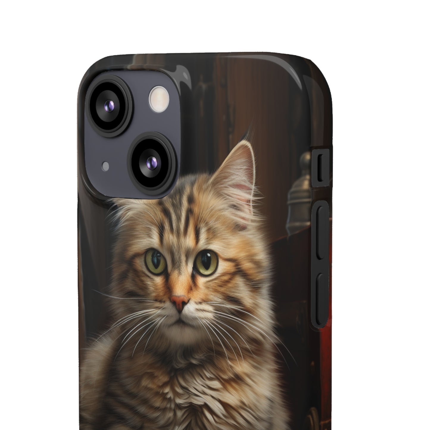 House Cat Snap Case